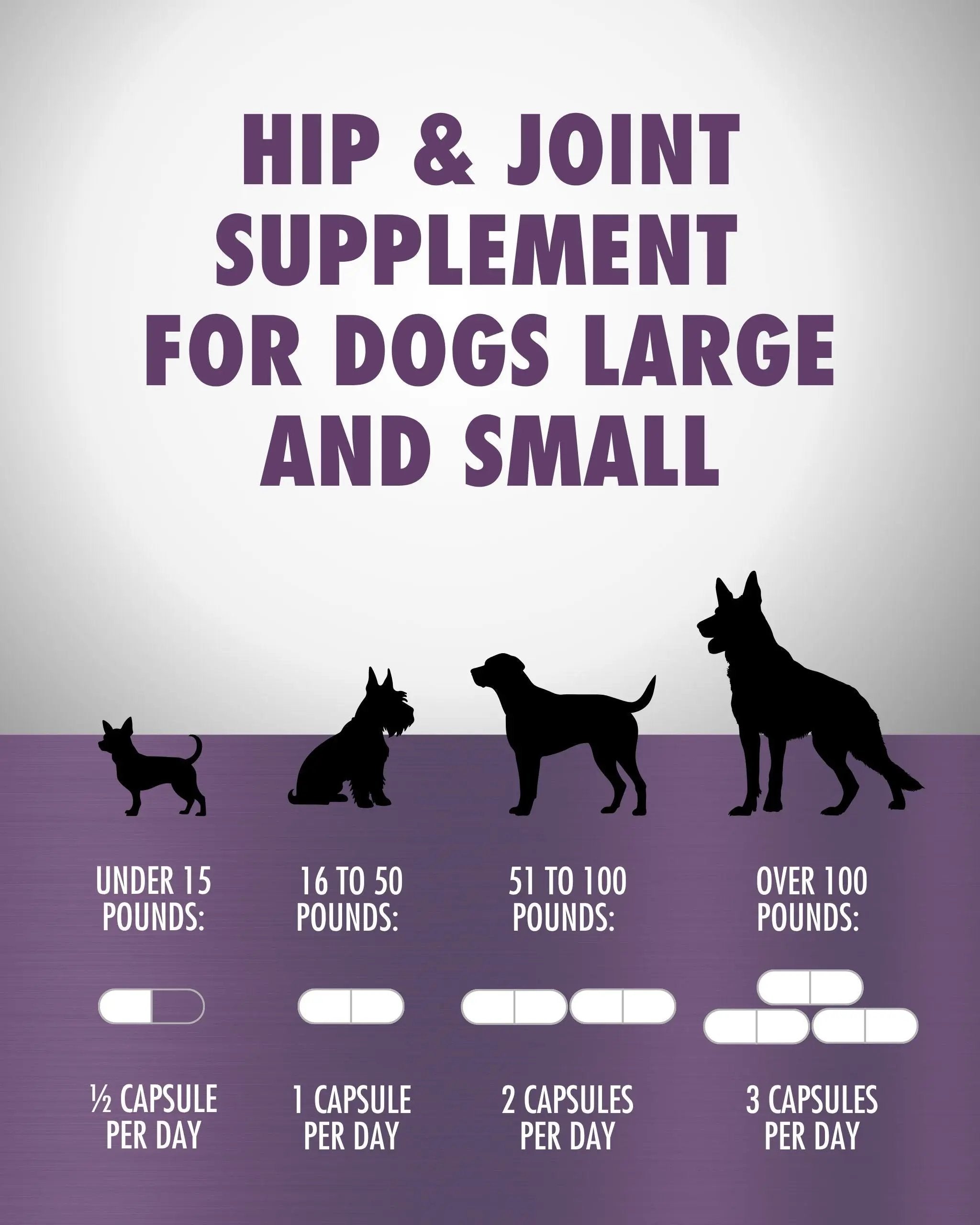 RenuVite® Anti-Aging 4 Dogs Health Direct - Hip & Joint Supplement for Dogs Large and Small